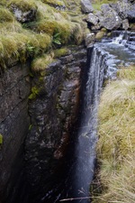 Thumbnail of photo from this article